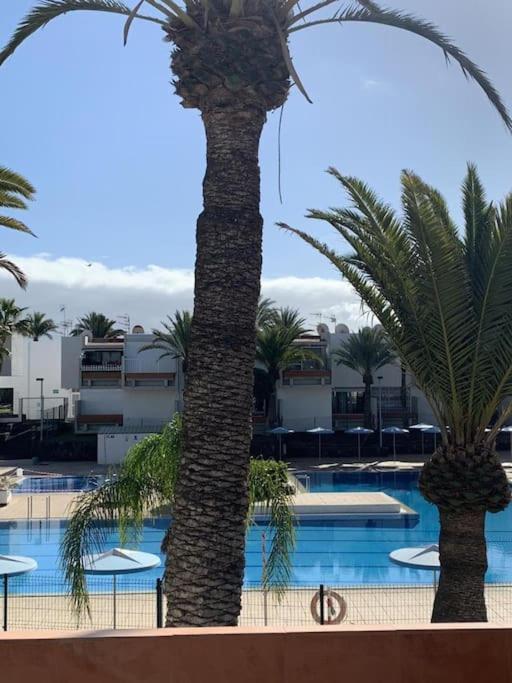 Lovely Apartment With Pool Costa Del Silencio Buitenkant foto