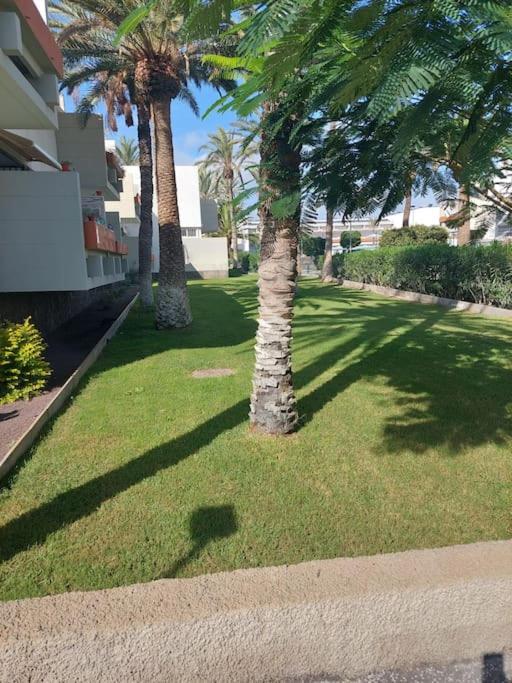 Lovely Apartment With Pool Costa Del Silencio Buitenkant foto